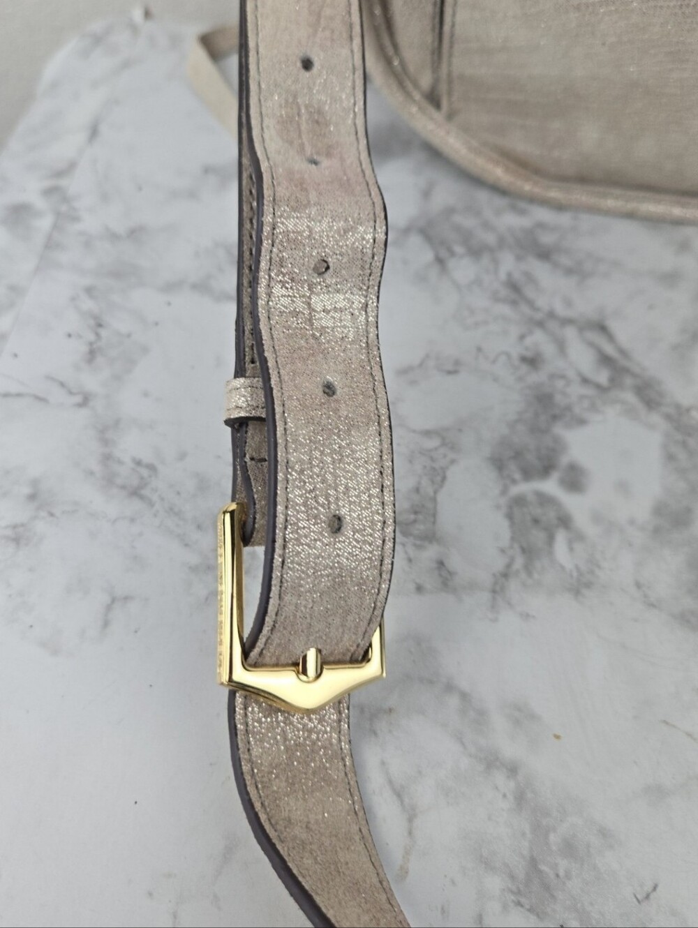 Aimee Kestenberg Metallic Bag View 6
